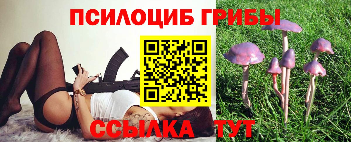 Галлюциногенные грибы Magic Shrooms Губкинский
