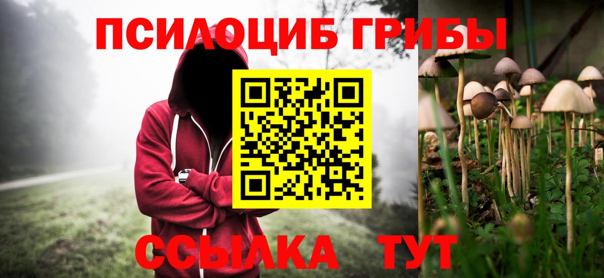 Губкинский  Псилоцибиновые грибы мухоморы  Вход с VPN  Галлюциногенные грибы ЛСД 